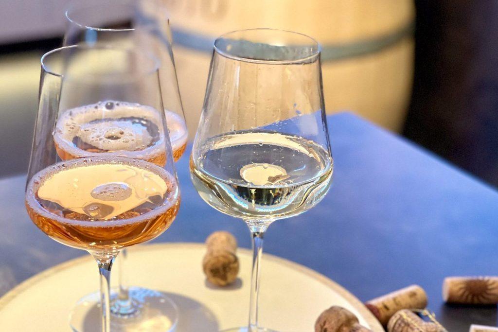 Alkoholfreie Weinprobe, Winetasting am Bodensee